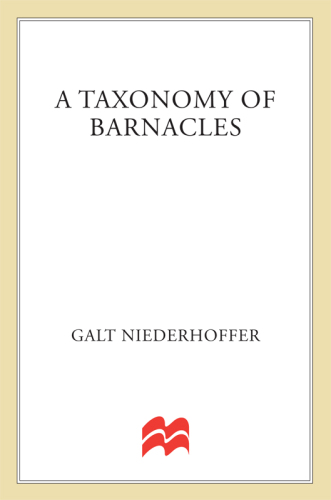 A Taxonomy of Barnacles