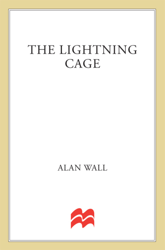 The Lightning Cage