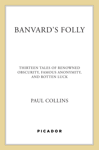 Banvard's Folly