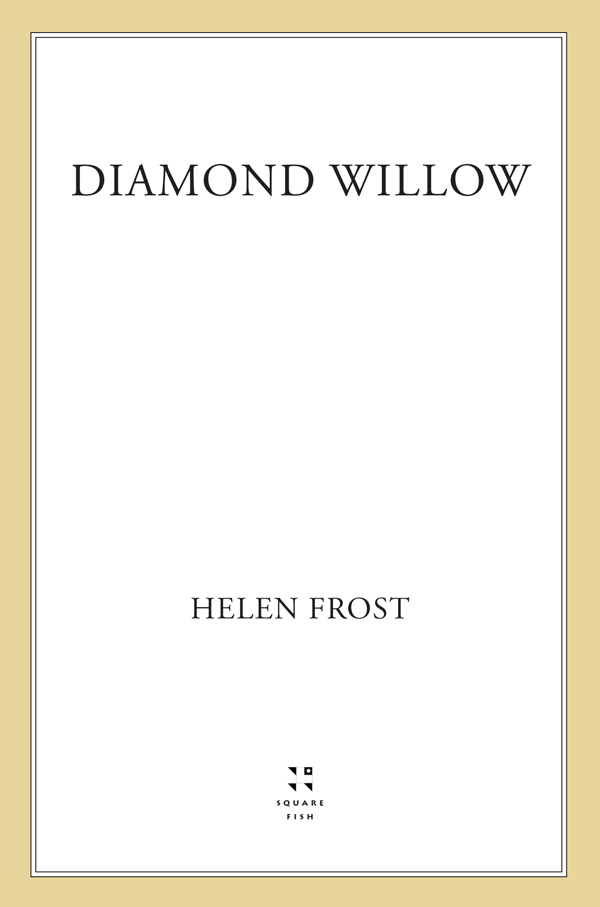 Diamond Willow