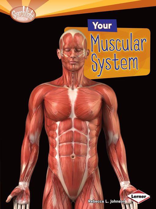 Your Muscular System