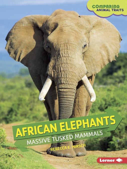 African Elephants