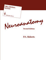 Neuroanatomy