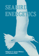 Seabird energetics