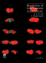 Regulation of gene expression in Escherichia coli