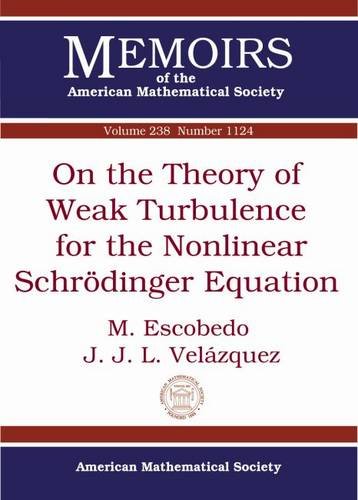 On the Theory of Weak Turbulence for the Nonlinear Schreodinger Equation