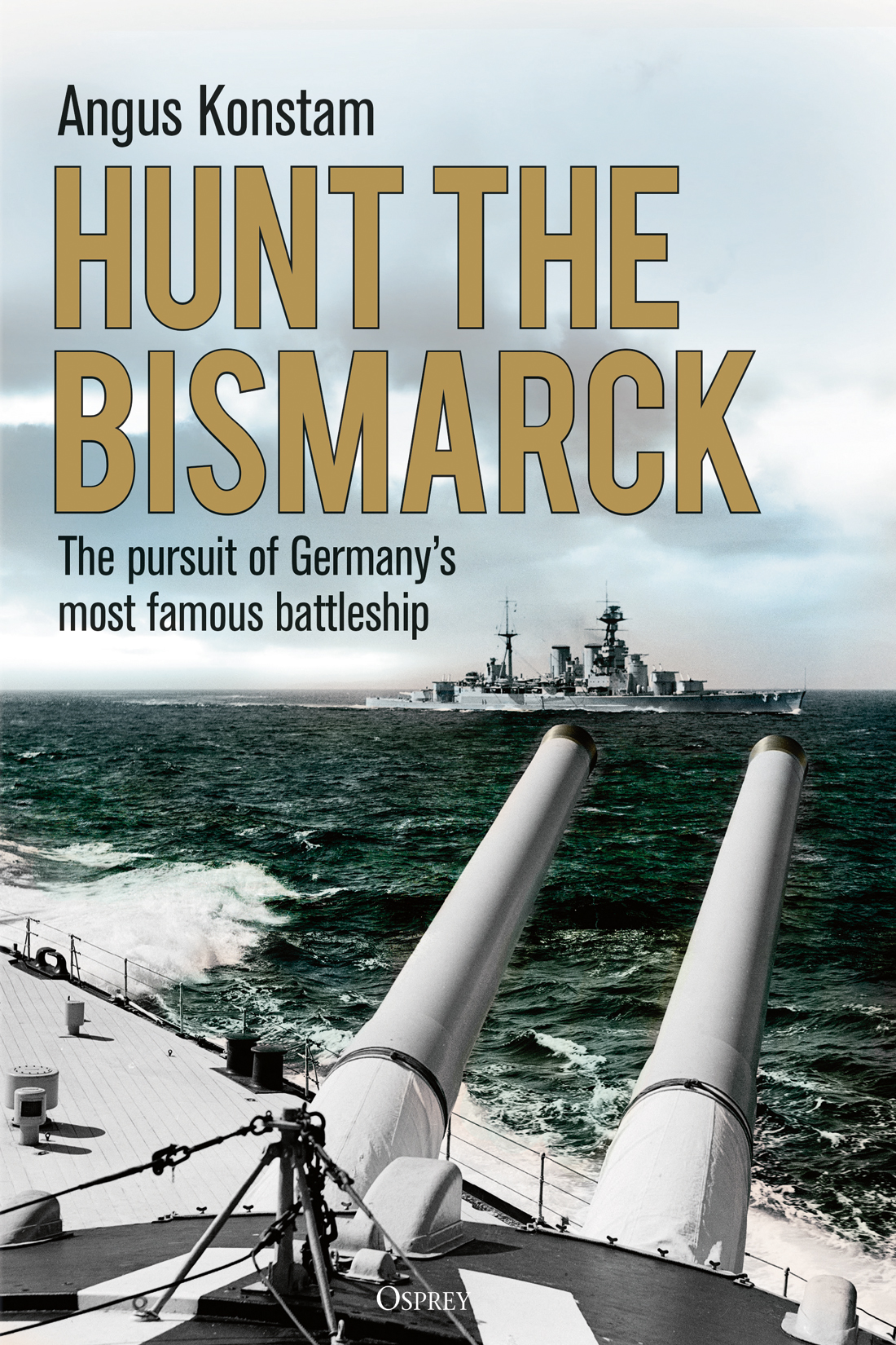 Hunt the Bismarck : the pursuit of Germany's most famous battleship