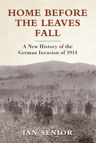 Home before the leaves fall : a new history of the German invasion of 1914