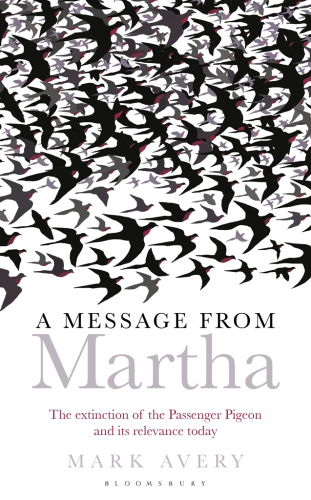 A Message from Martha