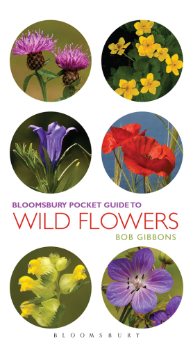 Pocket Guide To Wild Flowers