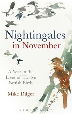 Nightingales in November