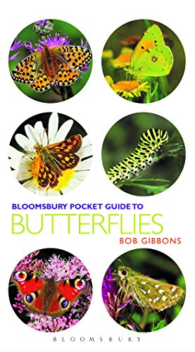 Pocket Guide to Butterflies