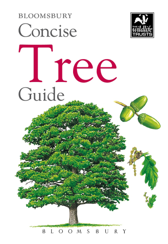 Concise Tree Guide