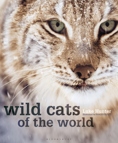 Wild Cats of the World : the Army at War Series.