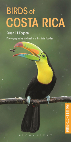 Pocket Photo Guide to the Birds of Costa Rica