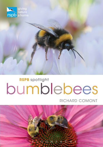 Rspb Spotlight Bumblebees