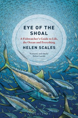 Eye of the Shoal