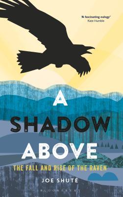 A Shadow Above