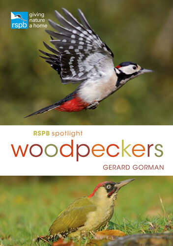 RSPB Spotlight Woodpeckers.