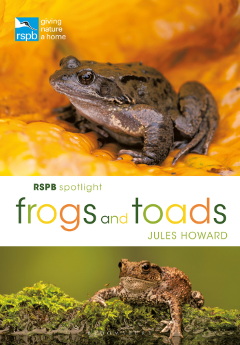 Frogs and toads