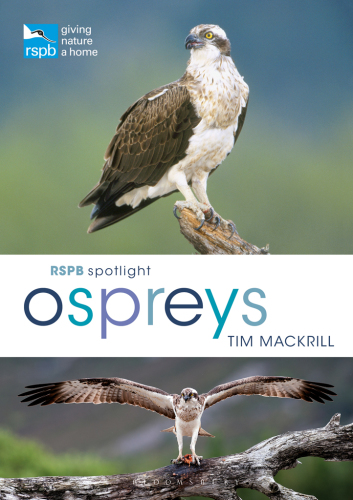 RSPB Spotlight Ospreys