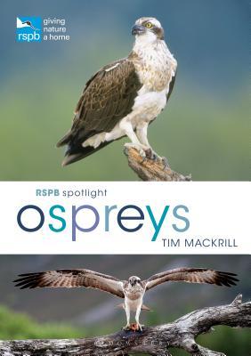 RSPB Spotlight Osprey