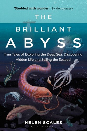 The Brilliant Abyss : True Tales of Exploring the Deep Sea, Discovering Hidden Life and Selling the Seabed