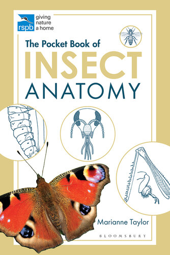 The pocket book of insect anatomy