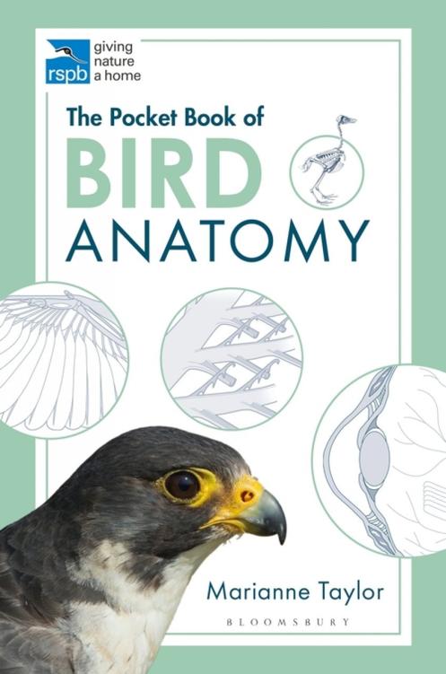 The pocket book of bird anatomy