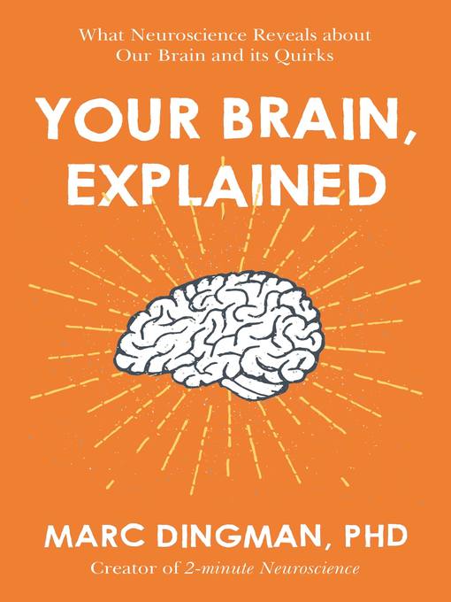 Your Brain, Explained