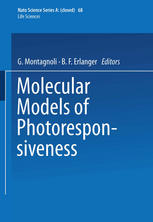 Molecular models of photoresponsiveness