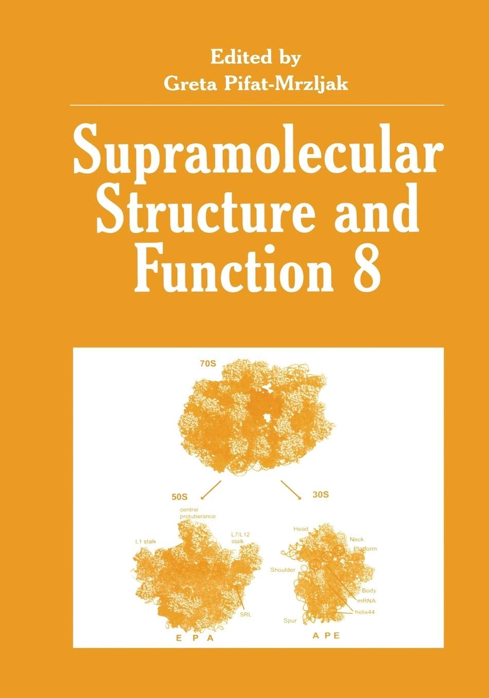 Supramolecular Structure and Function 8