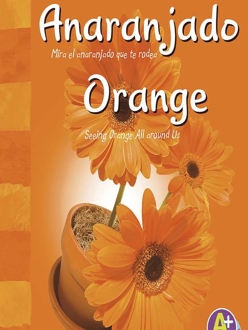 Anaranjado / Orange