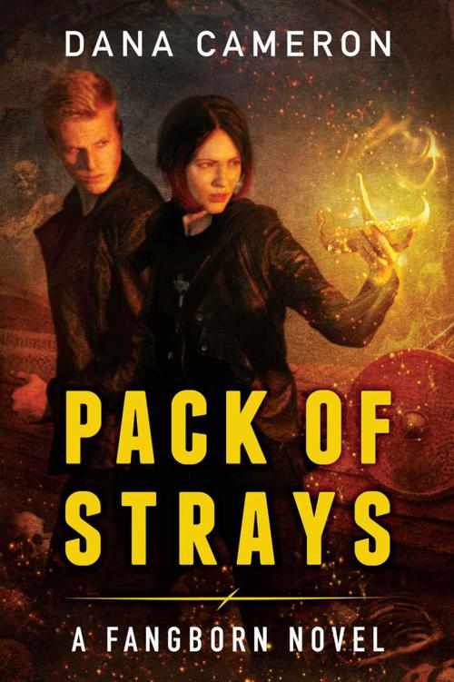 Pack of Strays