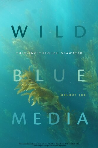 Wild Blue Media