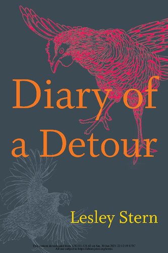 Diary of a Detour