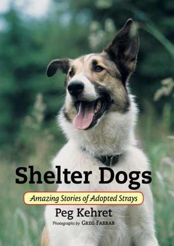 Shelter Dogs