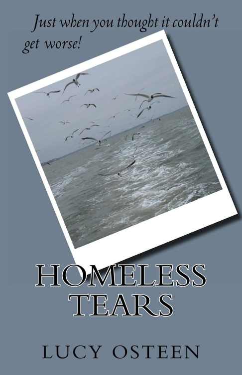 Homeless Tears: Just When You Thought It Couldn't Get Worse!