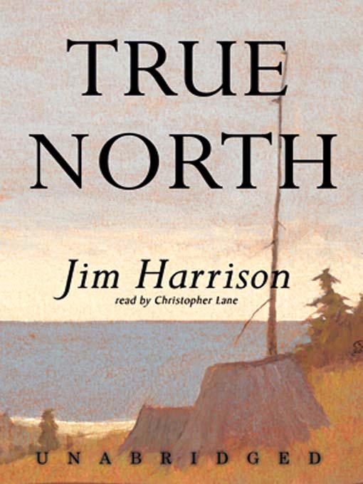 True North