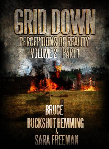 Grid Down Perceptions of Reality Vol 2 Book 1