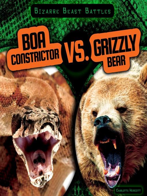 Boa Constrictor vs. Grizzly Bear