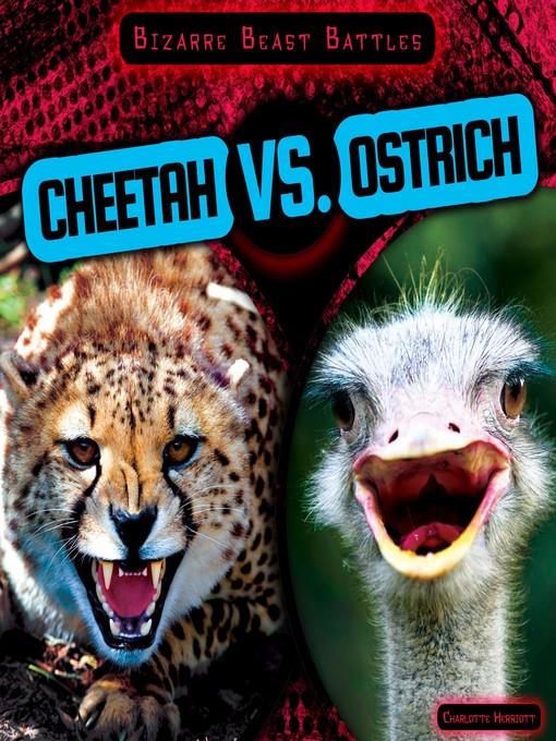 Cheetah vs. Ostrich