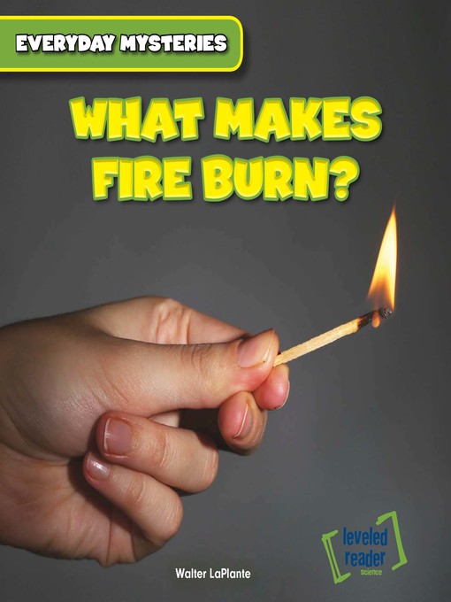 What Makes Fire Burn?