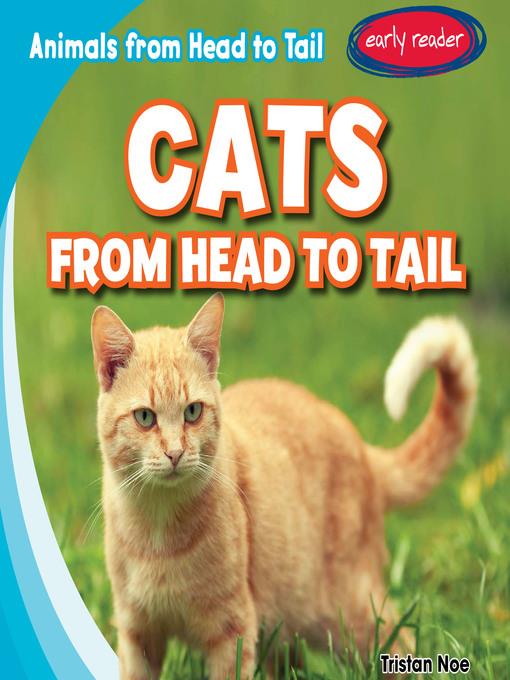 Cats from Head to Tail