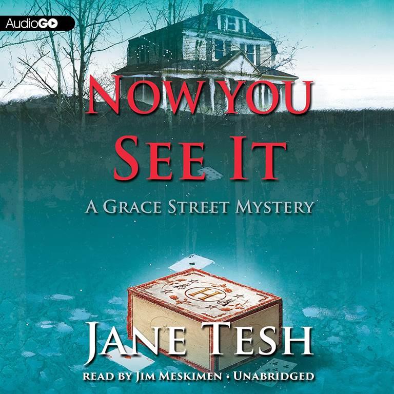 Now You See It (Grace Street Mysteries, Book 3)(LIBRARY EDITION) (Grace Street Mysteries (Audio))