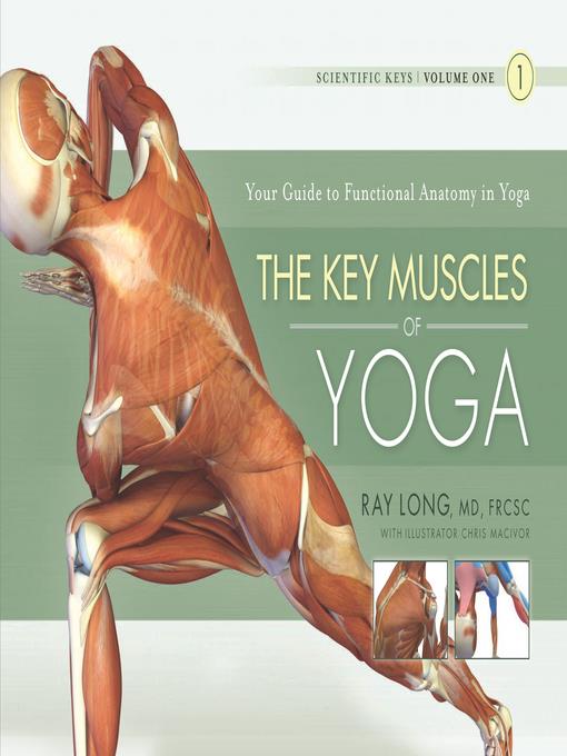 The Key Muscles of Yoga