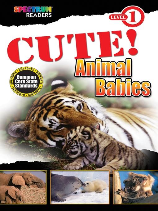 CUTE! Animal Babies