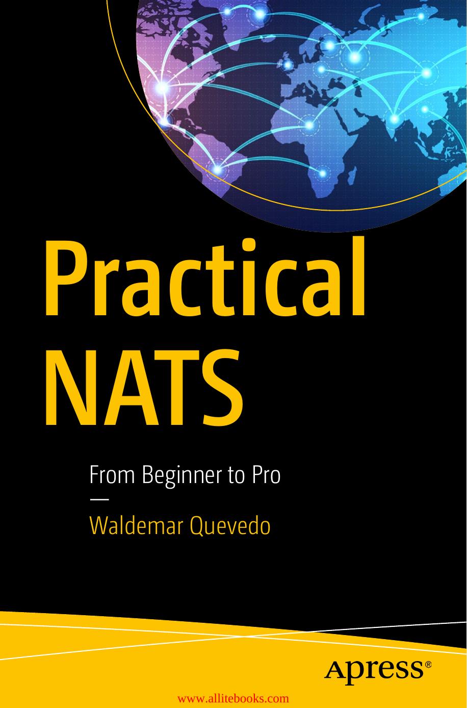 Practical NATS : from beginner to pro