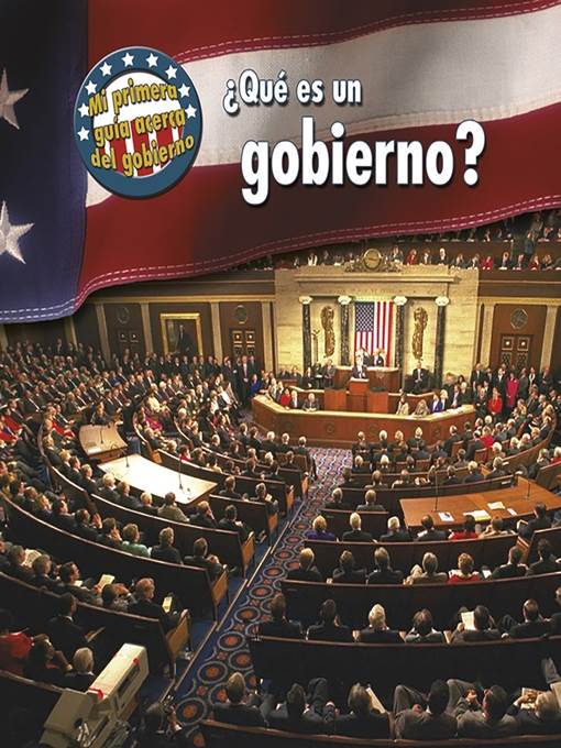 ¿Qué es un gobierno?