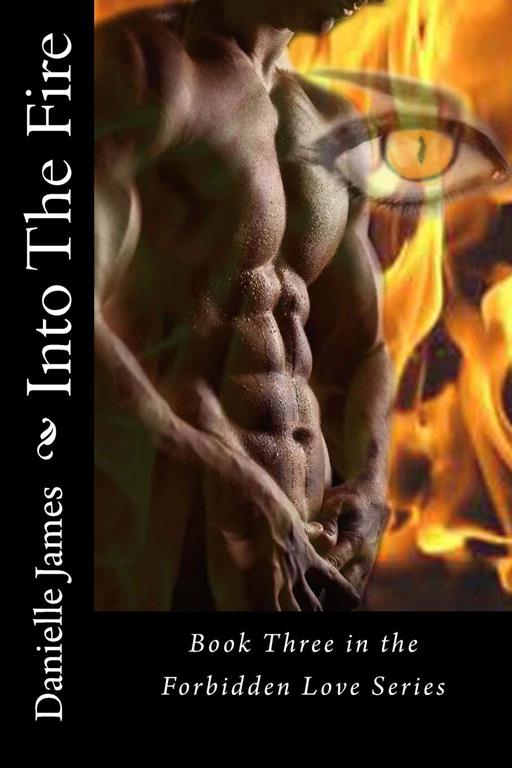 Into The Fire (Forbidden Love)